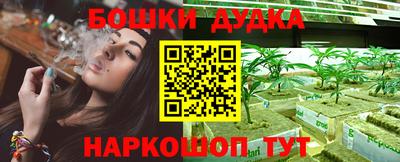 стафф Чебоксары