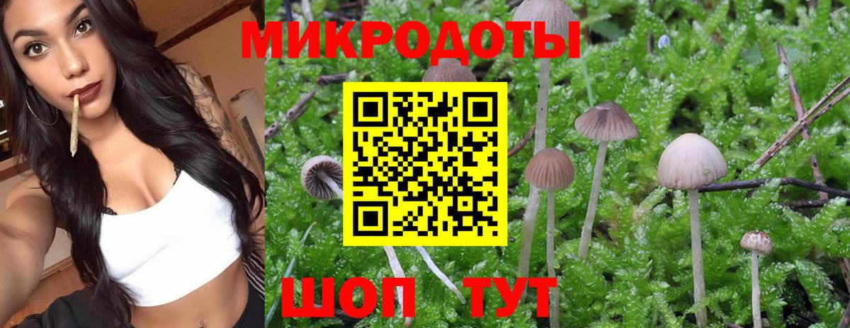 Галлюциногенные грибы GOLDEN TEACHER  Вход с VPN  Мариинск 